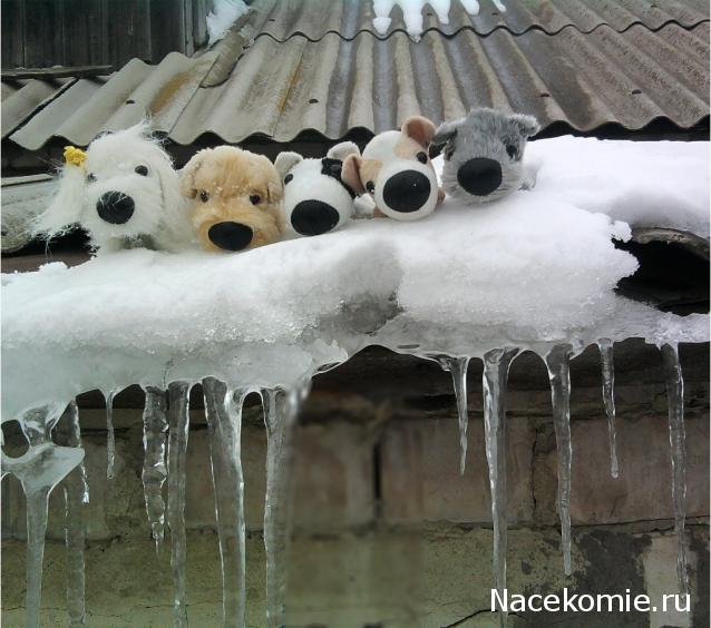 The Dog Collection 2010 - График Выхода и обсуждение