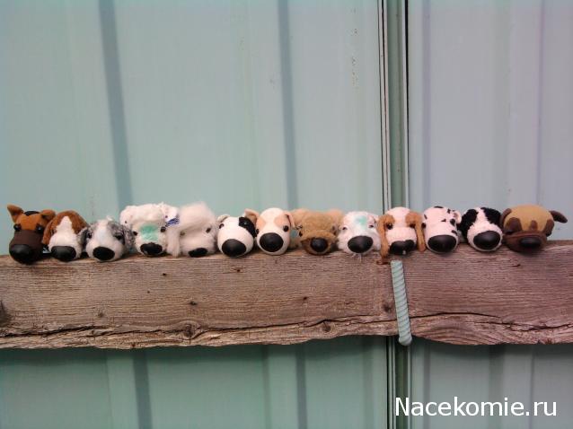 The Dog Collection 2010 - График Выхода и обсуждение