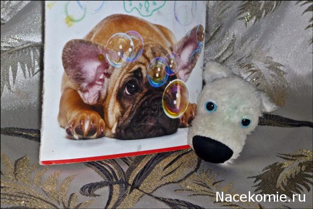 The Dog Collection 2010 - График Выхода и обсуждение