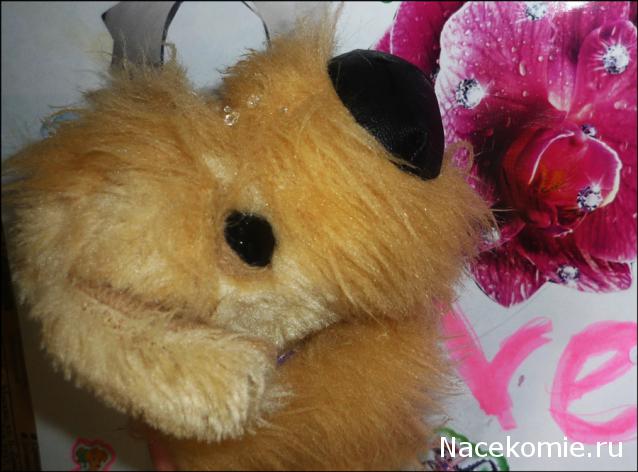 The Dog Collection 2010 - График Выхода и обсуждение