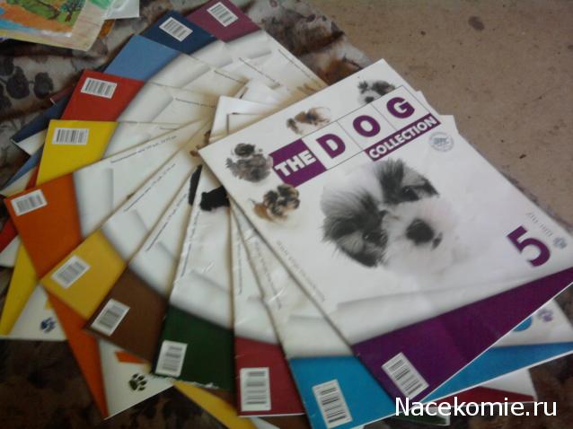 The Dog Collection 2010 - График Выхода и обсуждение