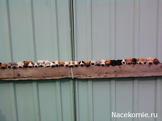 The Dog Collection 2010 - График Выхода и обсуждение