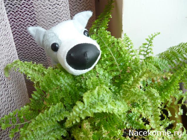 The Dog Collection №34 Грейхаунд