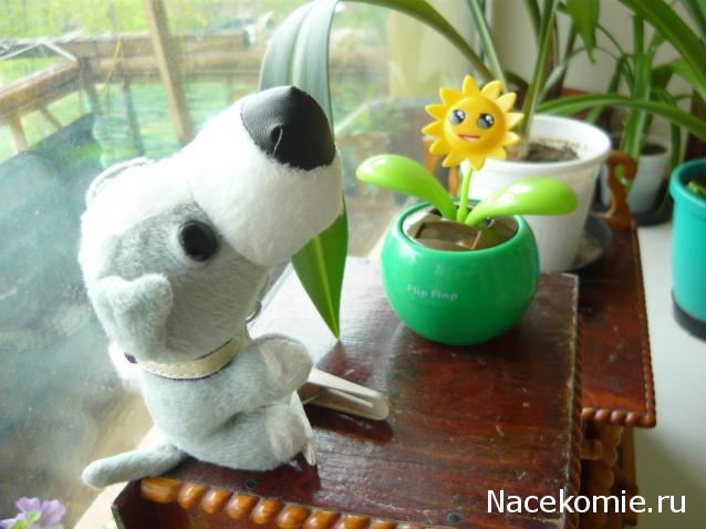 The Dog Collection №34 Грейхаунд