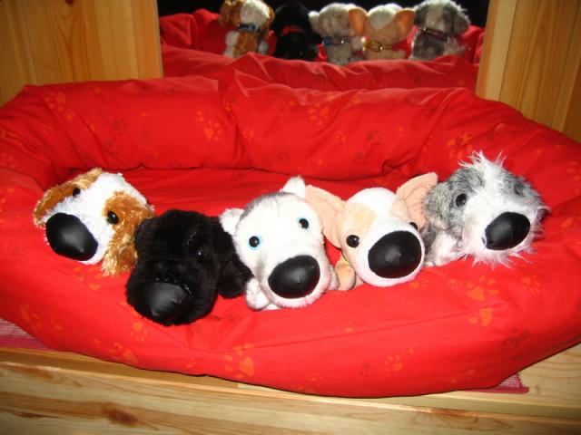 The Dog Collection 2010 - График Выхода и обсуждение