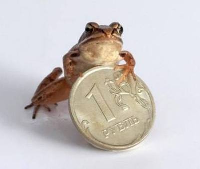 Дамы эпохи №9 - Леди Уиндермир