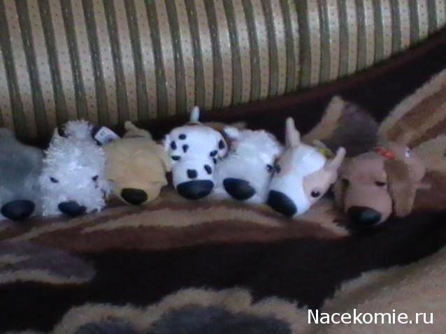 The Dog Collection 2010 - График Выхода и обсуждение