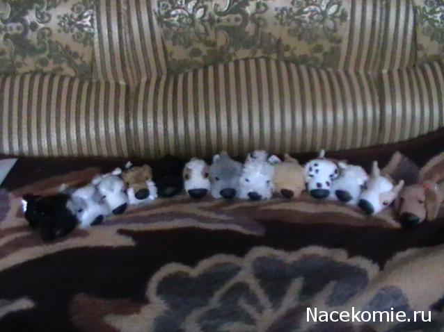 The Dog Collection 2010 - График Выхода и обсуждение