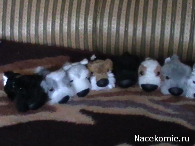 The Dog Collection 2010 - График Выхода и обсуждение