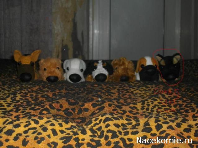 The Dog Collection 2010 - График Выхода и обсуждение