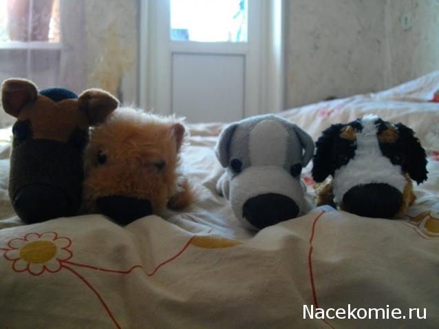 The Dog Collection 2010 - График Выхода и обсуждение