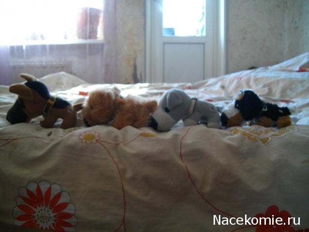 The Dog Collection 2010 - График Выхода и обсуждение