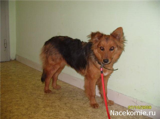 Болталка (часть 2)