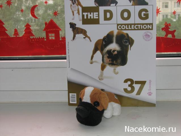 The Dog Collection №37 Боксер