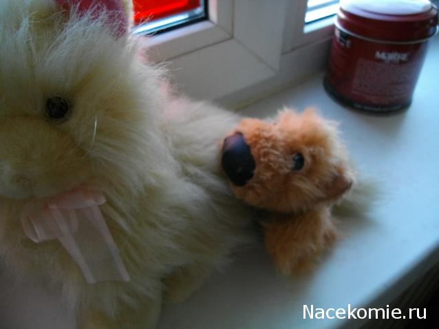 The Dog Collection 2010 - График Выхода и обсуждение