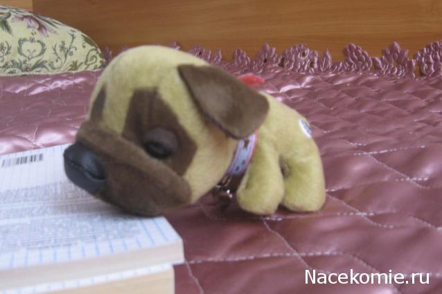 The Dog Collection 2010 - График Выхода и обсуждение