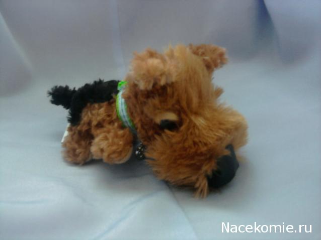 The Dog Collection 2010 - График Выхода и обсуждение