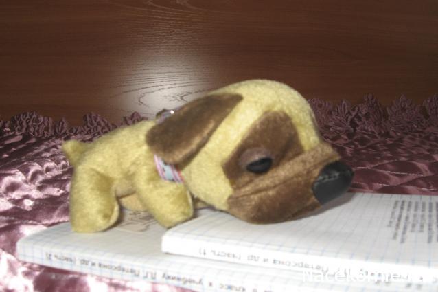 The Dog Collection 2010 - График Выхода и обсуждение