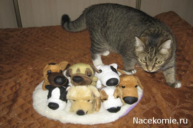 The Dog Collection 2010 - График Выхода и обсуждение