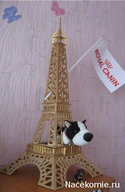 The Dog Collection 2010 - График Выхода и обсуждение