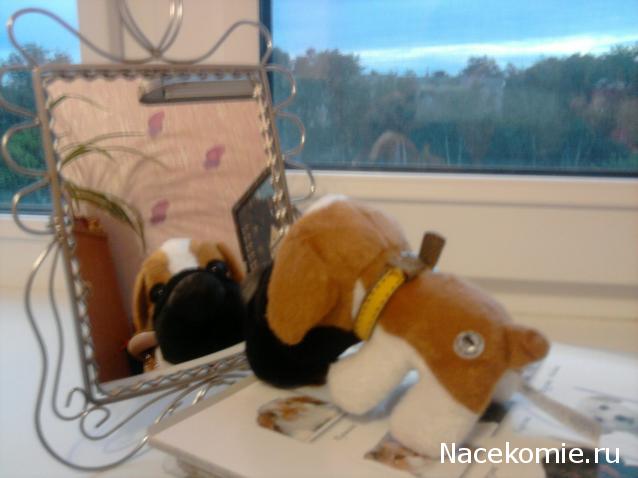 The Dog Collection 2010 - График Выхода и обсуждение