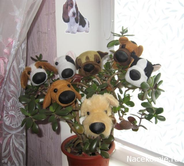 The Dog Collection 2010 - График Выхода и обсуждение