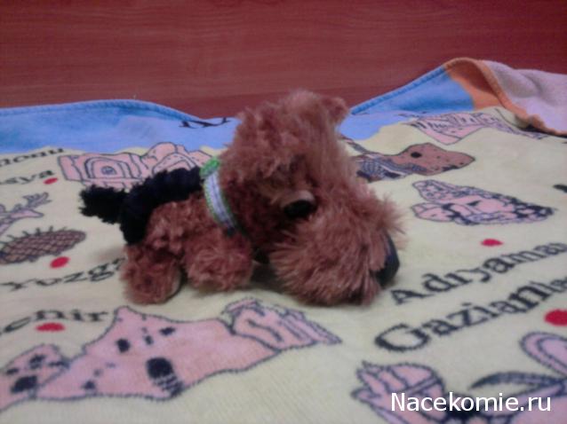 The Dog Collection 2010 - График Выхода и обсуждение