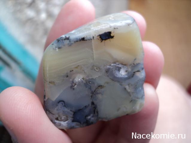 Энергия камней №26 Молочный опал (окатанный камень) фото, обсуждение