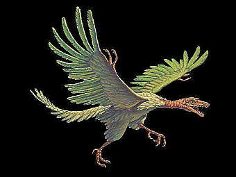 "Ледниковый период. Коллекция животных" Журнал с игрушкой