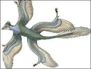 "Ледниковый период. Коллекция животных" Журнал с игрушкой