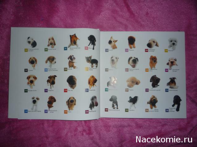 The Dog Collection 2010 - График Выхода и обсуждение