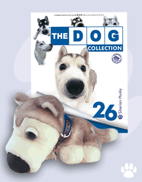 The Dog Collection № 3 - Хаски