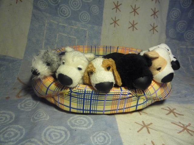 The Dog Collection 2010 - График Выхода и обсуждение