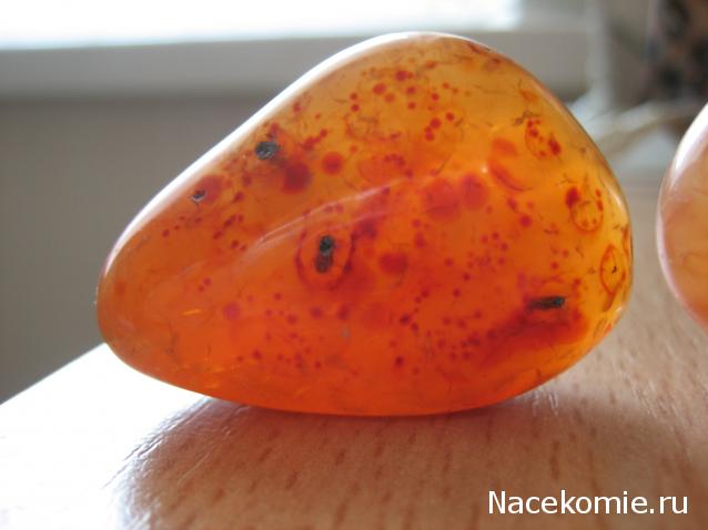 Энергия камней №31 Сердолик (окатанный камень) фото, обсуждение