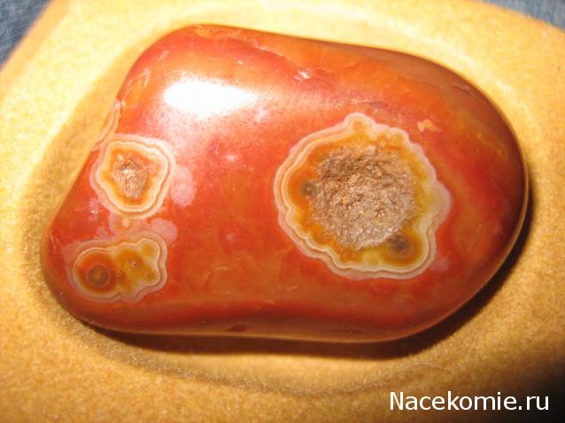 Энергия камней №31 Сердолик (окатанный камень) фото, обсуждение