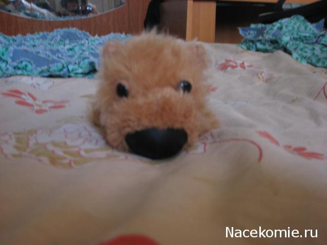 The Dog Collection 2010 - График Выхода и обсуждение