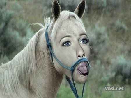 Болталка (часть 2)