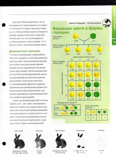Галилео Наука опытным путем