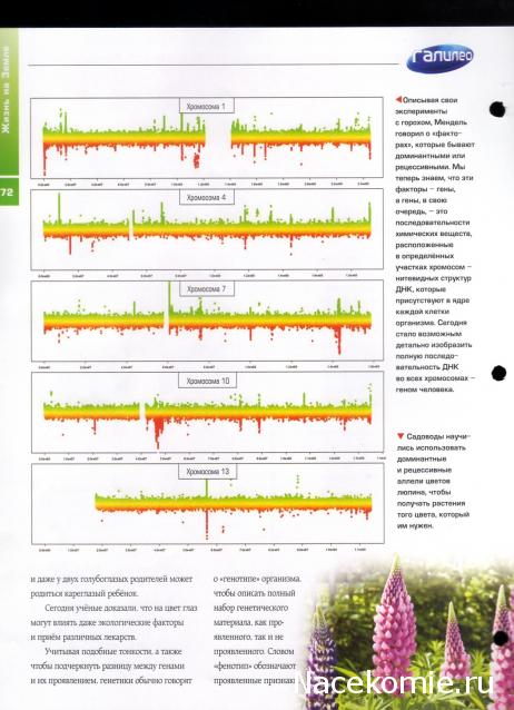 Галилео Наука опытным путем
