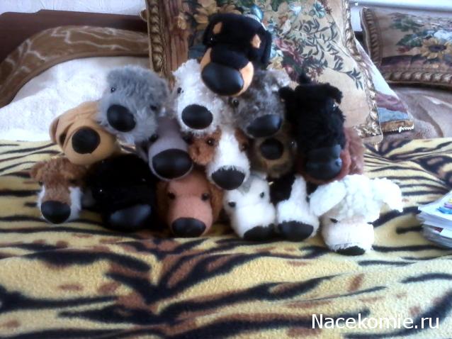 The Dog Collection 2010 - График Выхода и обсуждение