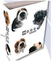 The Dog Collection 2010 - График Выхода и обсуждение