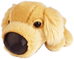 The Dog Collection 2010 - График Выхода и обсуждение