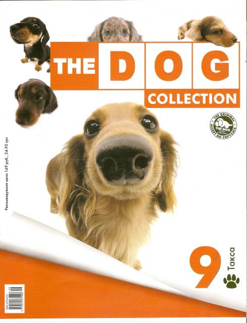 The Dog Collection №9 Такса