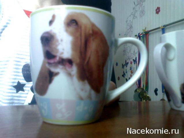 The Dog Collection и не только...