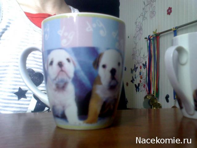 The Dog Collection и не только...