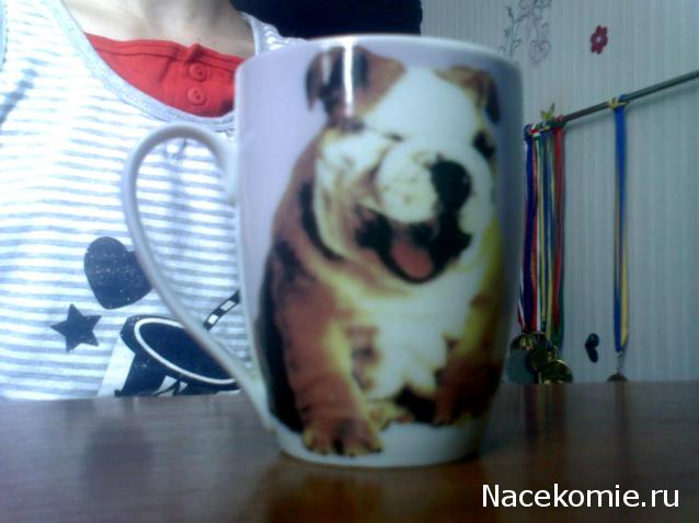 The Dog Collection и не только...