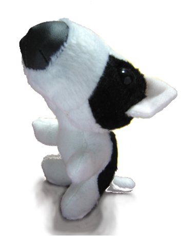 The Dog Collection 2010 - График Выхода и обсуждение