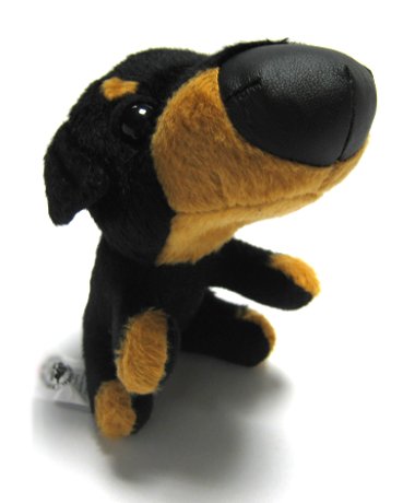 The Dog Collection 2010 - График Выхода и обсуждение