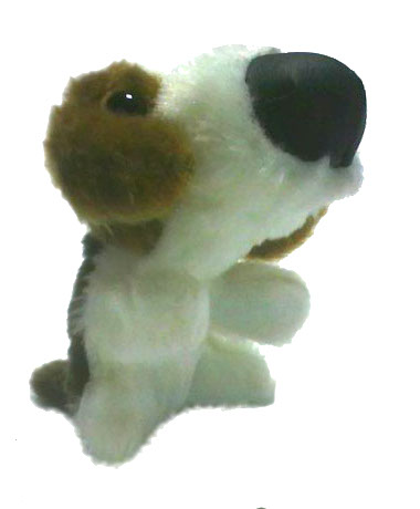 The Dog Collection 2010 - График Выхода и обсуждение