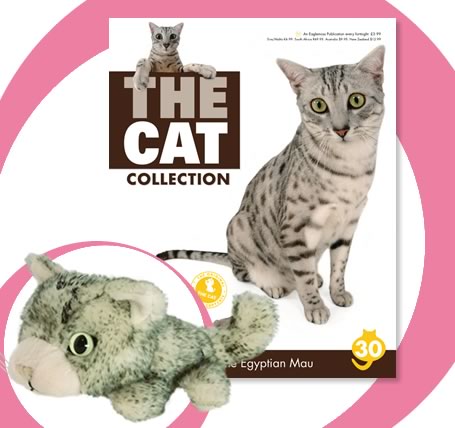 The Cat Collection График Выхода, обсуждение серии